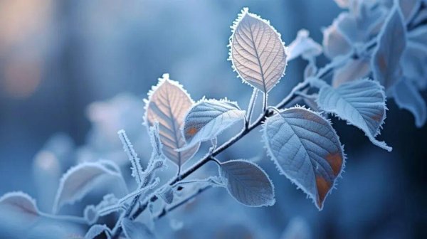 盛多网 “补冬不如补霜降”，10月23日霜降，3样宝贝一定要给家人吃，脾好肾好身体好，安度一整个秋冬