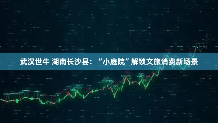 武汉世牛 湖南长沙县：“小庭院”解锁文旅消费新场景